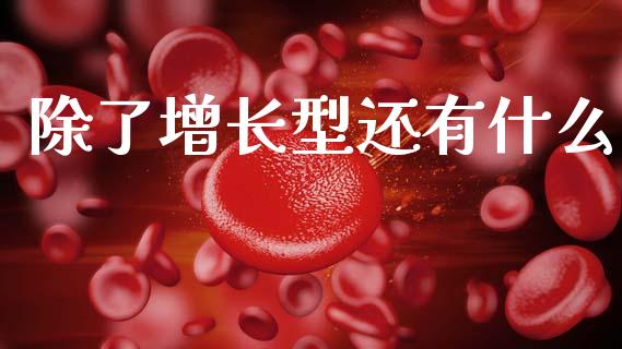 除了增长型还有什么_https://wap.kuaijiepai.net_外汇交易_第1张