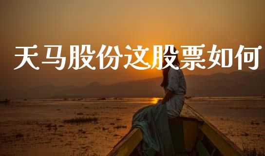 天马股份这股票如何_https://wap.kuaijiepai.net_财务咨询_第1张