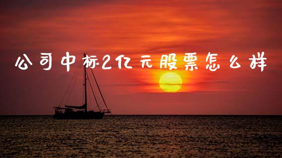 公司中标2亿元股票怎么样_https://wap.kuaijiepai.net_金融科技_第1张