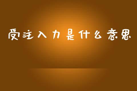 受注入力是什么意思_https://wap.kuaijiepai.net_金融科技_第1张