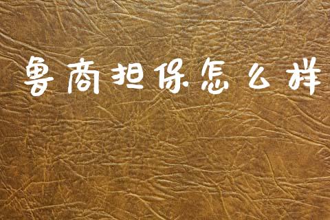 鲁商担保怎么样_https://wap.kuaijiepai.net_财务咨询_第1张