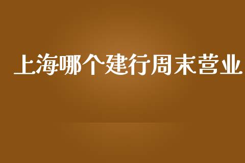 上海哪个建行周末营业_https://wap.kuaijiepai.net_财务咨询_第1张