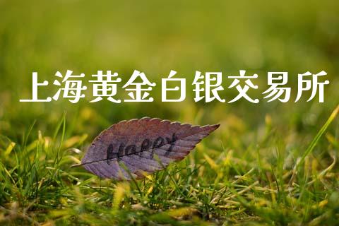 上海黄金白银交易所_https://wap.kuaijiepai.net_财务咨询_第1张