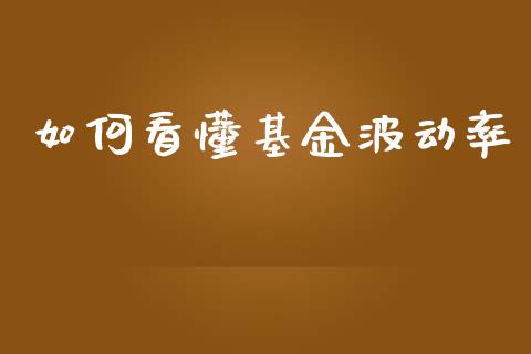 如何看懂基金波动率_https://wap.kuaijiepai.net_财务风控_第1张
