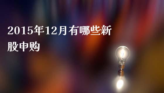2015年12月有哪些新股申购_https://wap.kuaijiepai.net_财务咨询_第1张