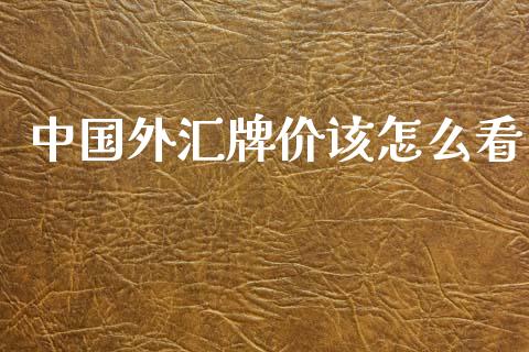 中国外汇牌价该怎么看_https://wap.kuaijiepai.net_外汇交易_第1张