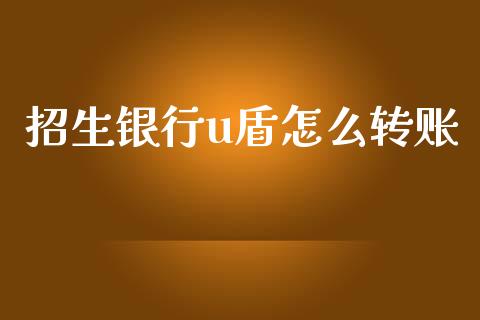 招生银行u盾怎么转账_https://wap.kuaijiepai.net_外汇交易_第1张