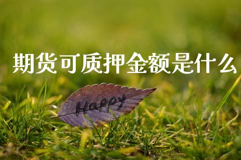 期货可质押金额是什么_https://wap.kuaijiepai.net_外汇交易_第1张