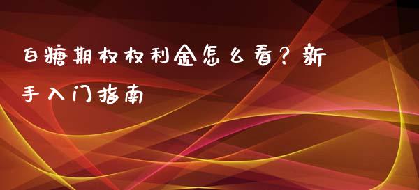 白糖期权权利金怎么看？新手入门指南_https://wap.kuaijiepai.net_金融科技_第1张