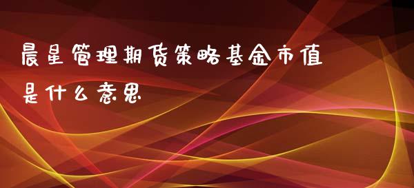 晨星管理期货策略基金市值是什么意思_https://wap.kuaijiepai.net_金融科技_第1张