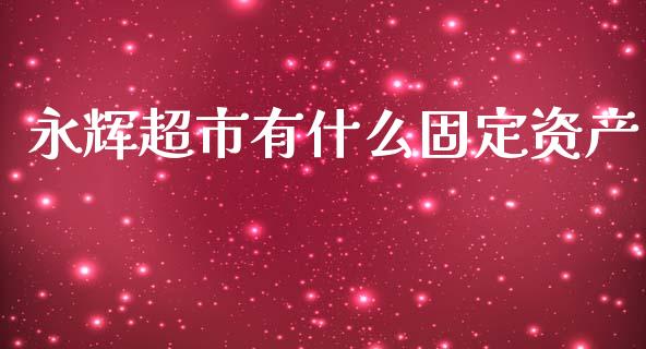 永辉超市有什么固定资产_https://wap.kuaijiepai.net_财务风控_第1张