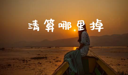 清算哪里掉_https://wap.kuaijiepai.net_财务风控_第1张