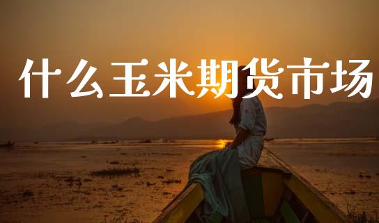 什么玉米期货市场_https://wap.kuaijiepai.net_金融科技_第1张