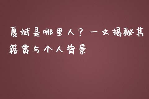 夏斌是哪里人？一文揭秘其籍贯与个人背景_https://wap.kuaijiepai.net_金融科技_第1张