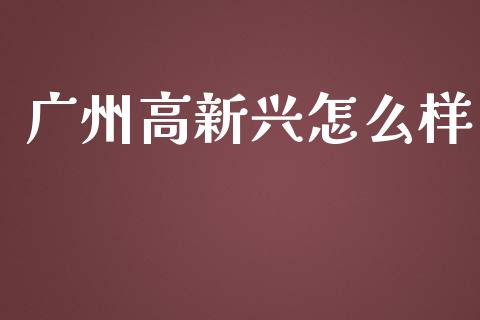 广州高新兴怎么样_https://wap.kuaijiepai.net_金融科技_第1张