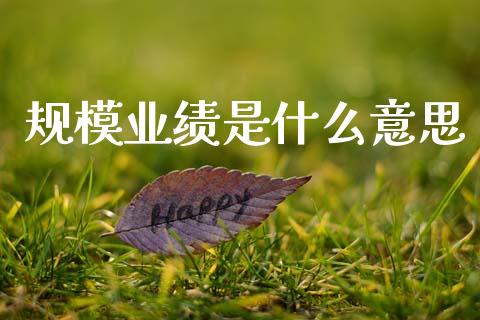 规模业绩是什么意思_https://wap.kuaijiepai.net_财务咨询_第1张