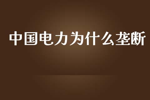 中国电力为什么垄断_https://wap.kuaijiepai.net_金融科技_第1张