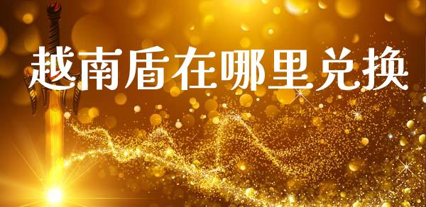越南盾在哪里兑换_https://wap.kuaijiepai.net_财务咨询_第1张