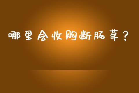 哪里会收购断肠草？_https://wap.kuaijiepai.net_金融科技_第1张