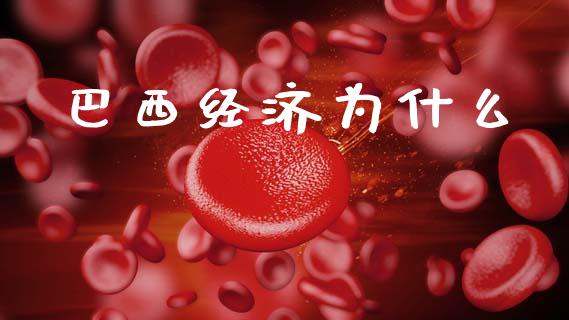 巴西经济为什么_https://wap.kuaijiepai.net_财务咨询_第1张