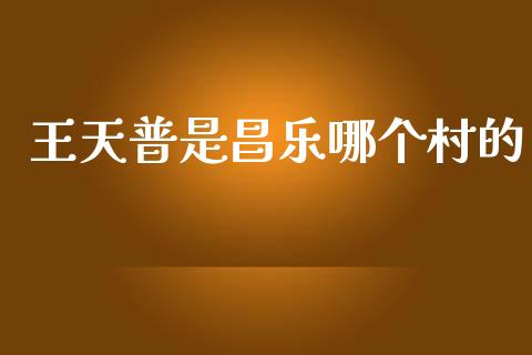 王天普是昌乐哪个村的_https://wap.kuaijiepai.net_金融科技_第1张