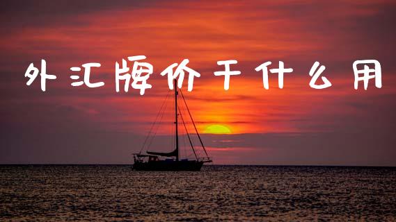 外汇牌价干什么用_https://wap.kuaijiepai.net_金融科技_第1张