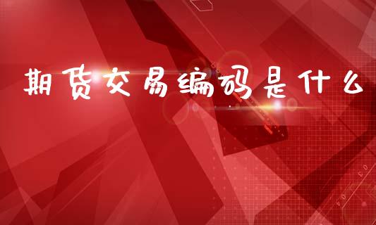 期货交易编码是什么_https://wap.kuaijiepai.net_外汇交易_第1张