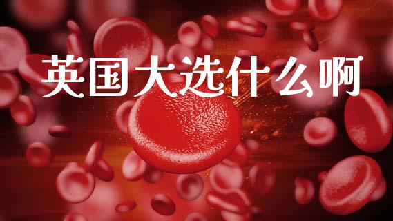 英国大选什么啊_https://wap.kuaijiepai.net_金融科技_第1张