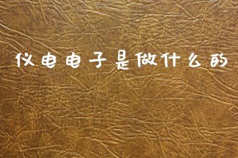 仪电电子是做什么的_https://wap.kuaijiepai.net_财务咨询_第1张