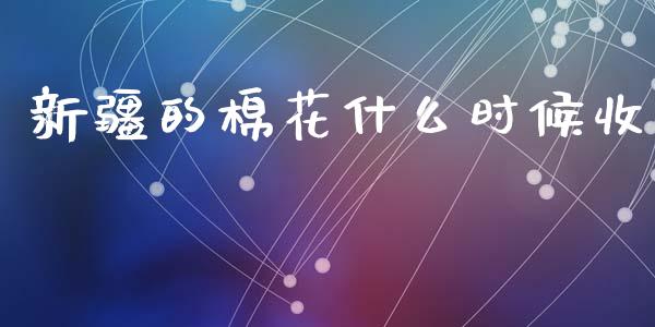 新疆的棉花什么时候收_https://wap.kuaijiepai.net_财务风控_第1张