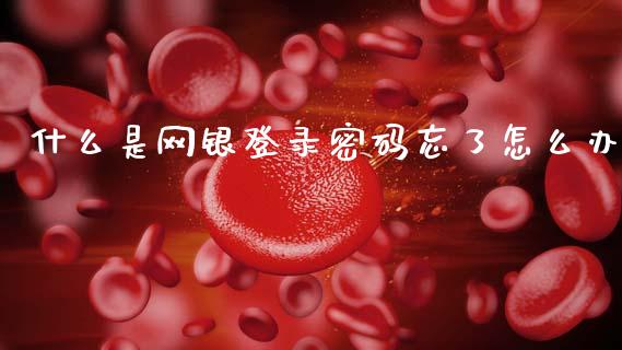 什么是网银登录密码忘了怎么办_https://wap.kuaijiepai.net_财务咨询_第1张