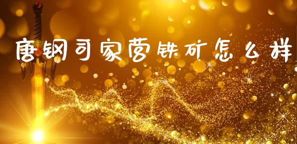 唐钢司家营铁矿怎么样_https://wap.kuaijiepai.net_财务咨询_第1张