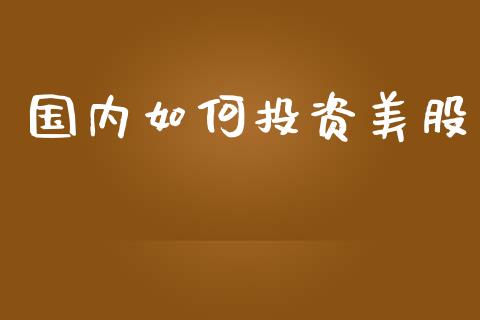 国内如何投资美股_https://wap.kuaijiepai.net_财务咨询_第1张