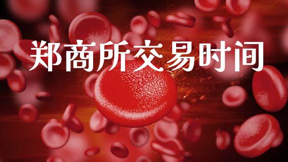 郑商所交易时间_https://wap.kuaijiepai.net_财务咨询_第1张