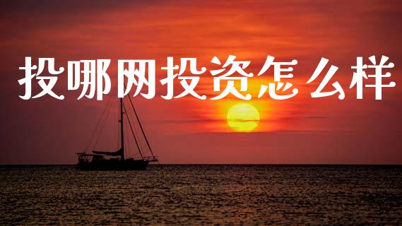 投哪网投资怎么样_https://wap.kuaijiepai.net_财务风控_第1张