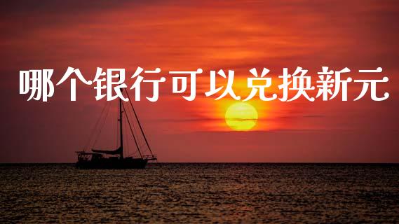 哪个银行可以兑换新元_https://wap.kuaijiepai.net_财务咨询_第1张