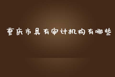 重庆市具有审计机构有哪些_https://wap.kuaijiepai.net_财务风控_第1张