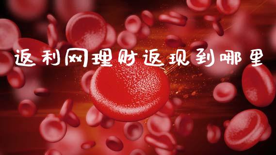 返利网理财返现到哪里_https://wap.kuaijiepai.net_财务风控_第1张