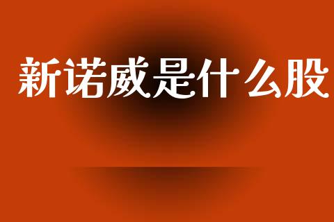 新诺威是什么股_https://wap.kuaijiepai.net_财务风控_第1张