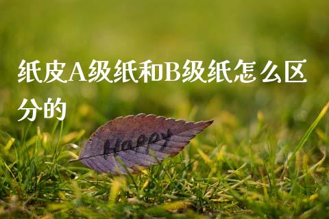 纸皮A级纸和B级纸怎么区分的_财务咨询_第1张_金融科技_财务风控_外汇交易_财务咨询 纸皮A级纸和B级纸怎么区分的_https://wap.kuaijiepai.net_财务咨询_第1张