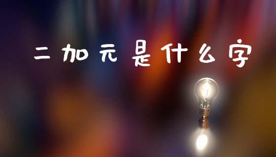 二加元是什么字_https://wap.kuaijiepai.net_财务咨询_第1张