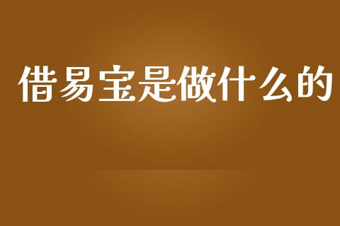 借易宝是做什么的_https://wap.kuaijiepai.net_财务风控_第1张
