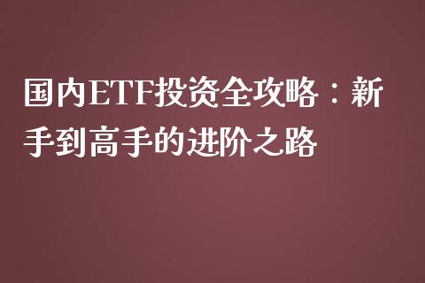 国内ETF投资全攻略：新手到高手的进阶之路_https://wap.kuaijiepai.net_外汇交易_第1张