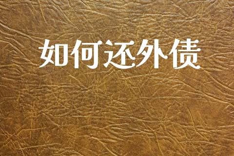 如何还外债_https://wap.kuaijiepai.net_财务咨询_第1张