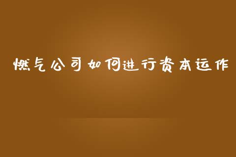 燃气公司如何进行资本运作_https://wap.kuaijiepai.net_财务咨询_第1张