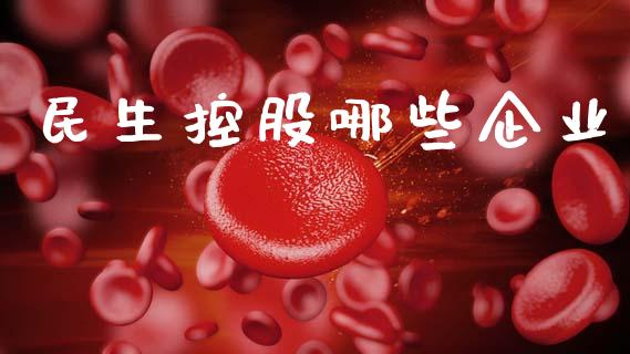 民生控股哪些企业_https://wap.kuaijiepai.net_财务风控_第1张