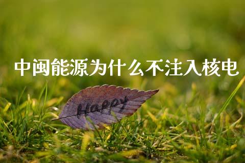 中闽能源为什么不注入核电_https://wap.kuaijiepai.net_财务风控_第1张