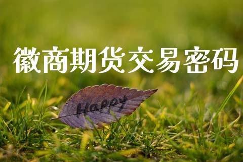 徽商期货交易密码_https://wap.kuaijiepai.net_财务咨询_第1张