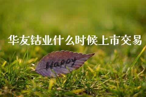 华友钴业什么时候上市交易_https://wap.kuaijiepai.net_财务咨询_第1张