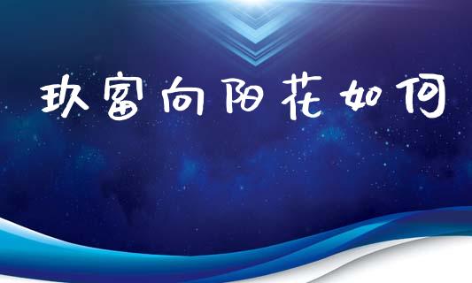 玖富向阳花如何_https://wap.kuaijiepai.net_金融科技_第1张
